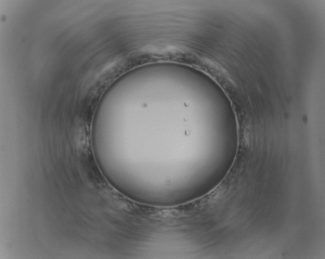 X0000074320966200609082003