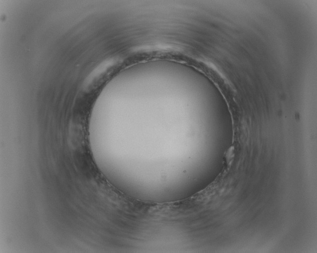 X0000074320967200609082003