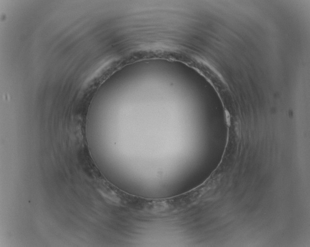 X0000074320968200609082003