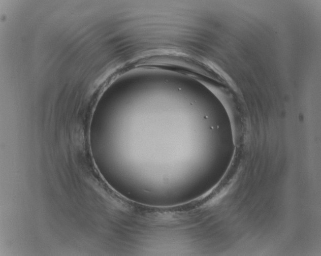 X0000074320969200609082003