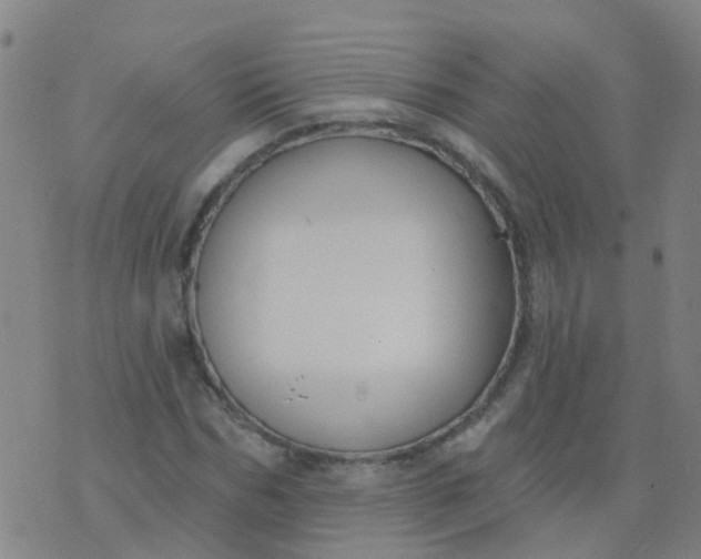 X0000074320970200609082003