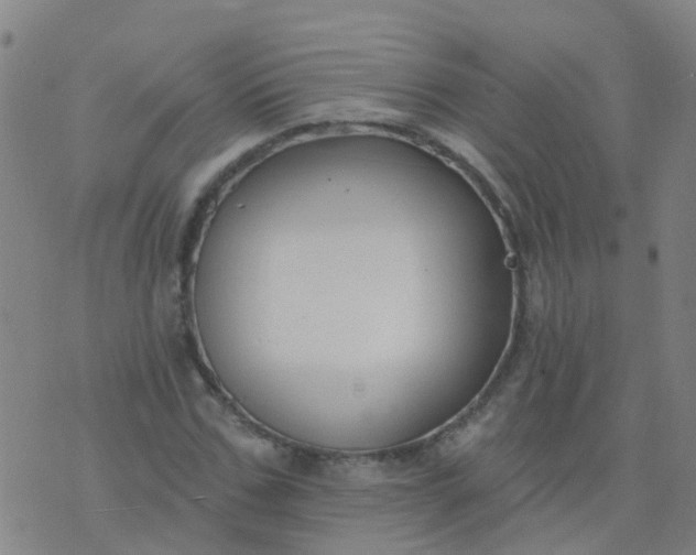 X0000074320971200609082003