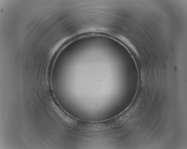 X0000074320972200609082003