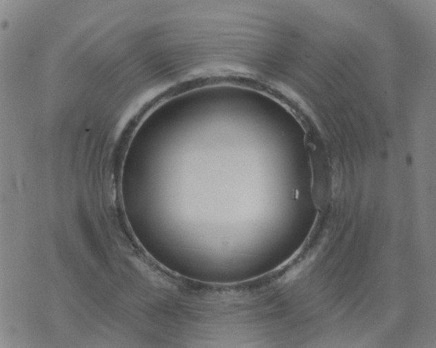 X0000074320973200609082003