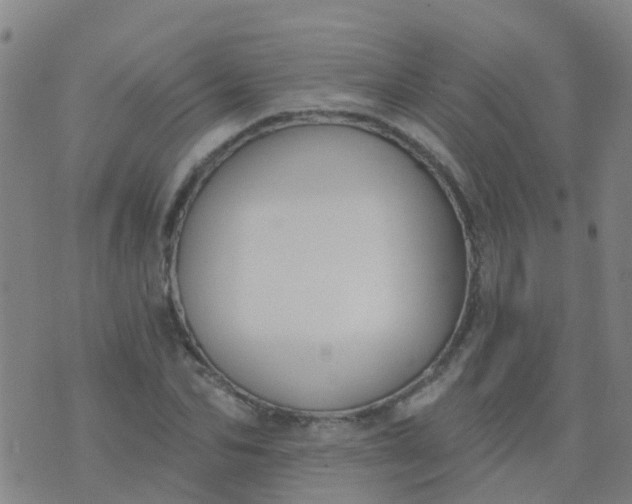 X0000074320974200609082003