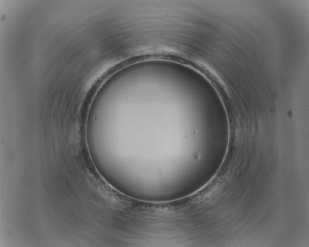 X0000074320975200609082003