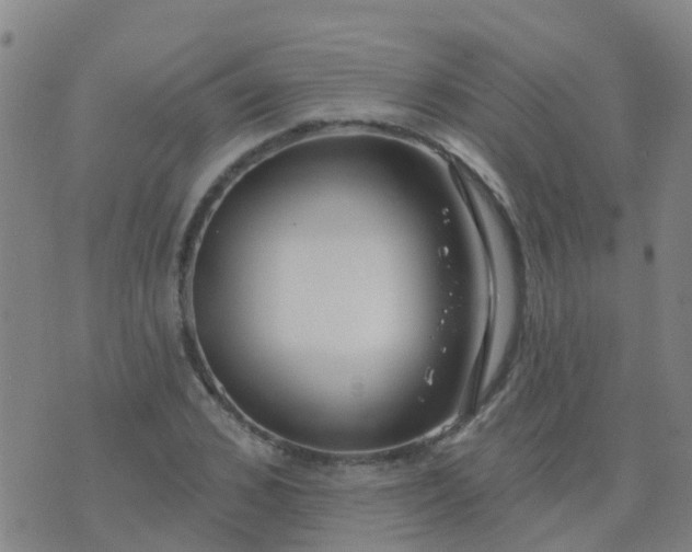 X0000074320976200609082003