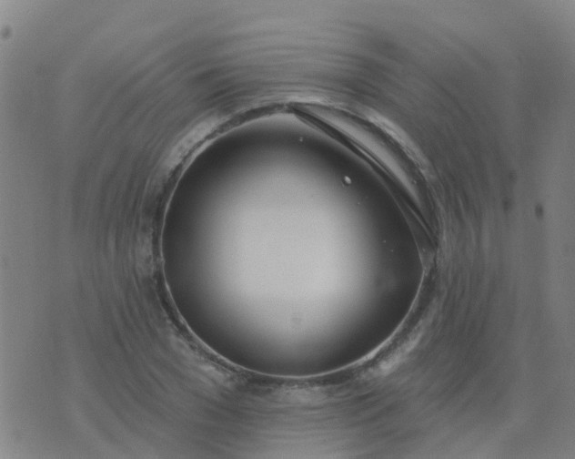 X0000074320977200609082003