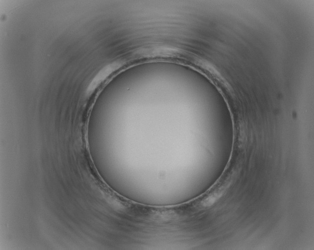 X0000074320978200609082003