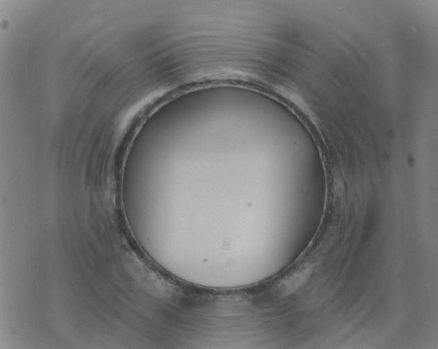 X0000074320979200609082003