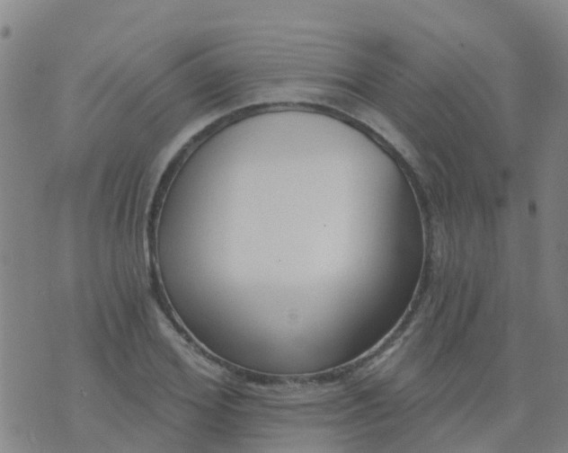 X0000074320980200609082003