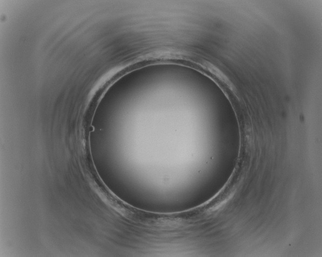 X0000074320981200609082003