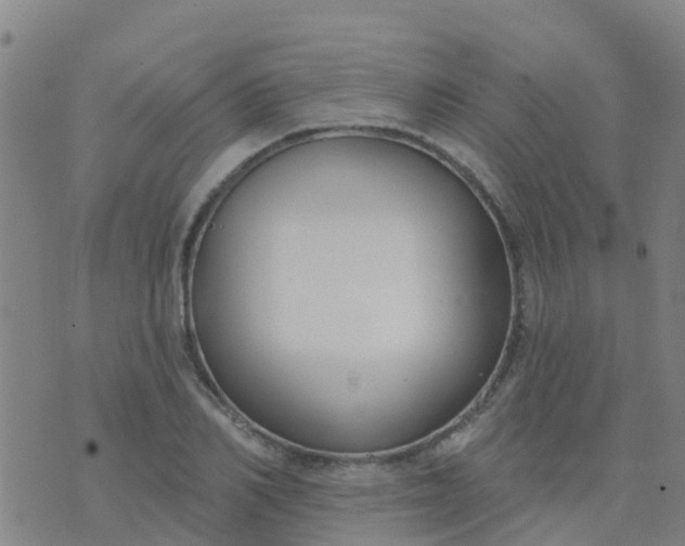 X0000074320982200609082003