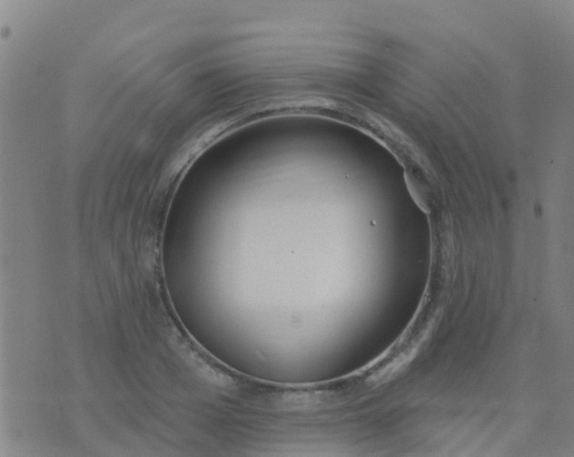 X0000074320985200609082003