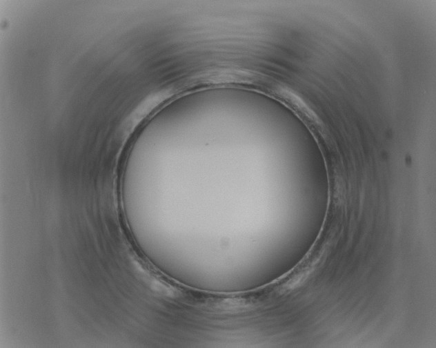 X0000074320986200609082003