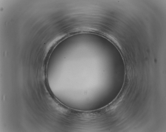 X0000074320987200609082003