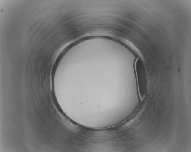 X0000074320988200609082002