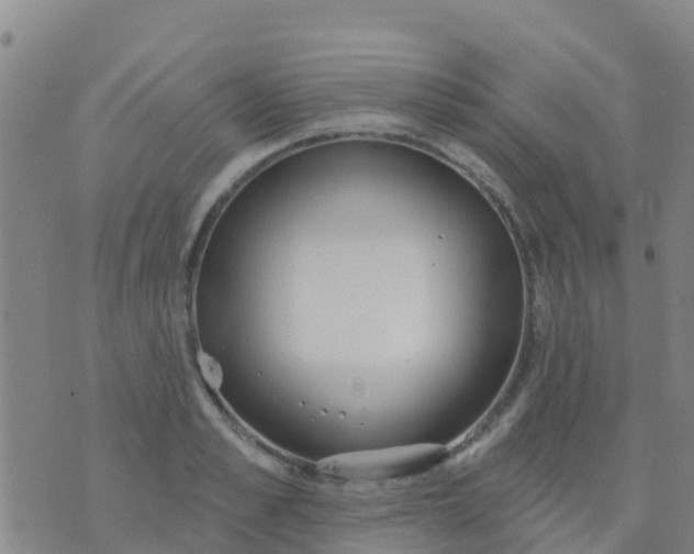 X0000074320989200609082002