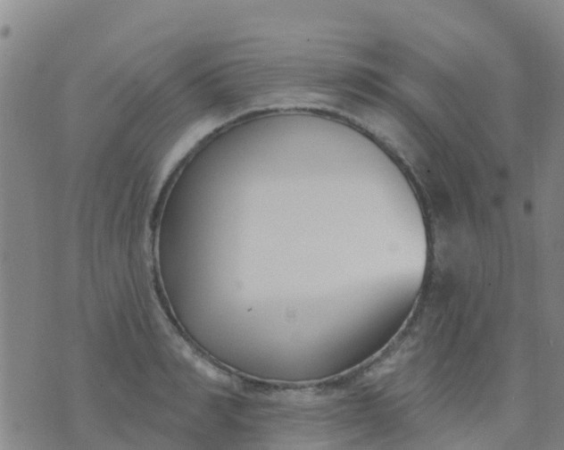 X0000074320990200609082002