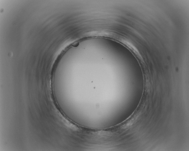 X0000074320992200609082002