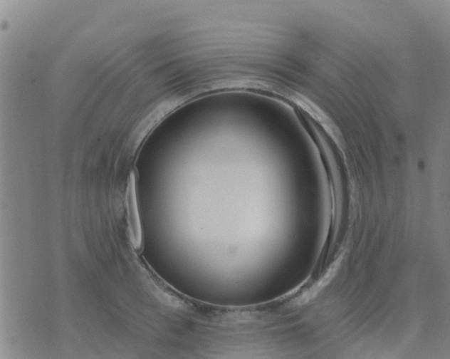 X0000074320993200609082002