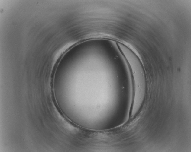 X0000074320995200609082002