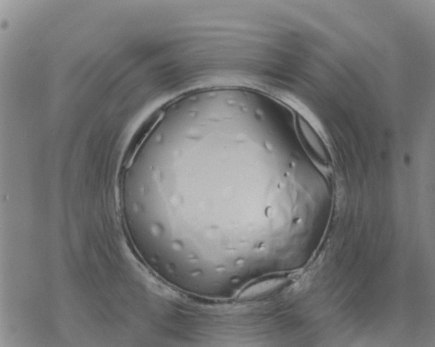 X0000074320996200609082002