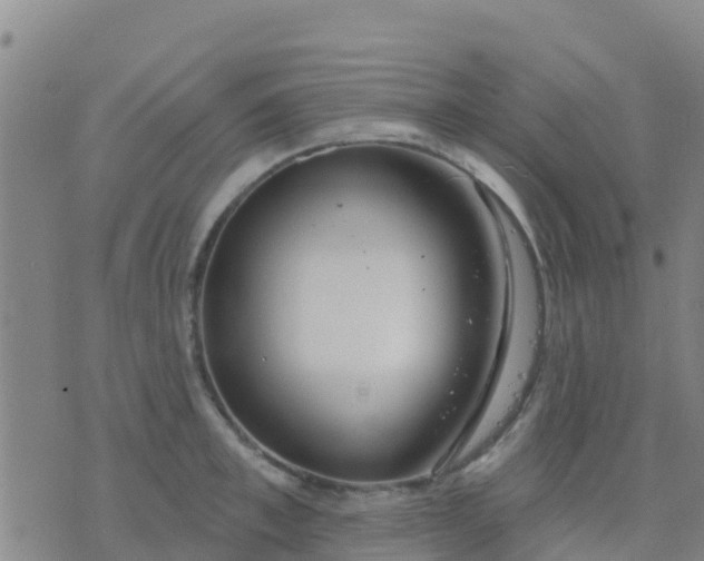 X0000074320997200609082002