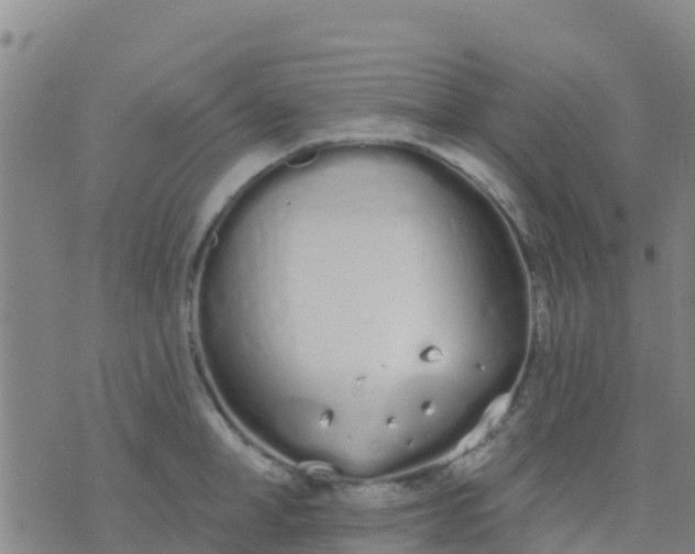 X0000074320998200609082002