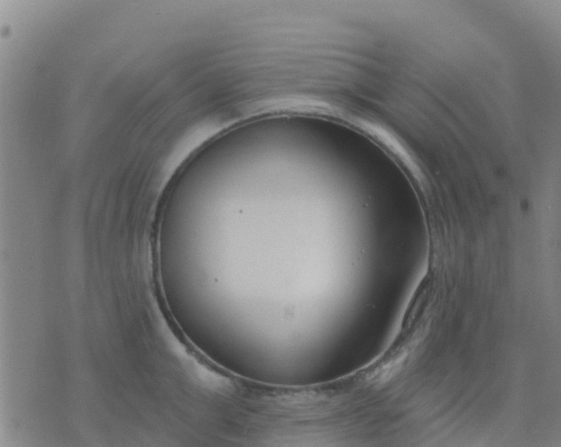 X0000074320999200609082002