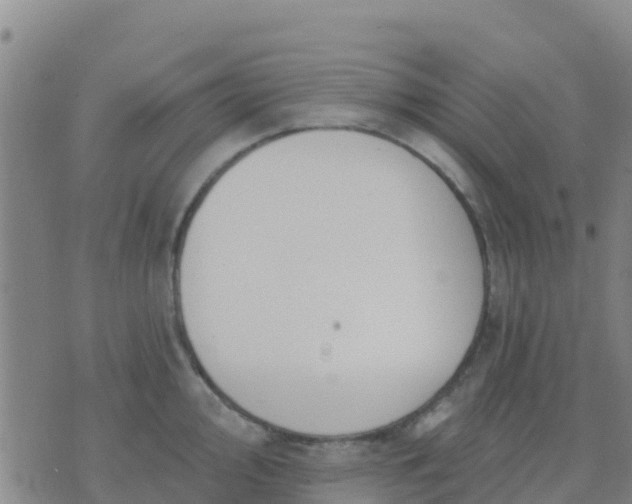 X0000074321000200609082002