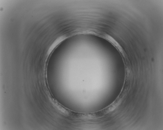 X0000074321002200609082002