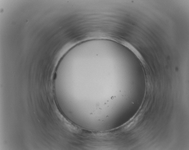 X0000074321004200609082002