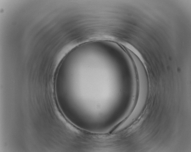 X0000074321005200609082002