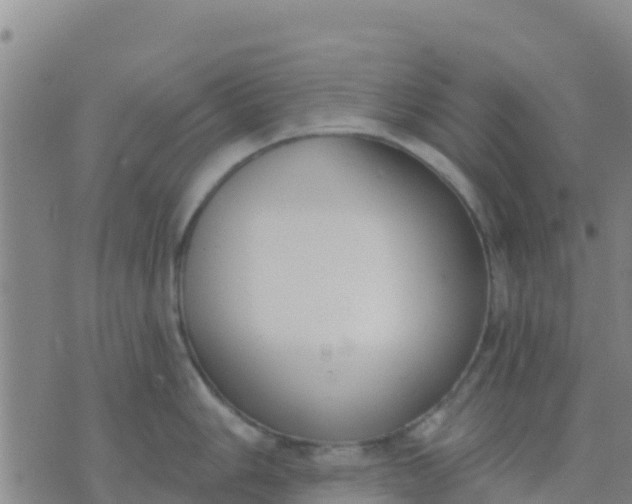 X0000074321006200609082002