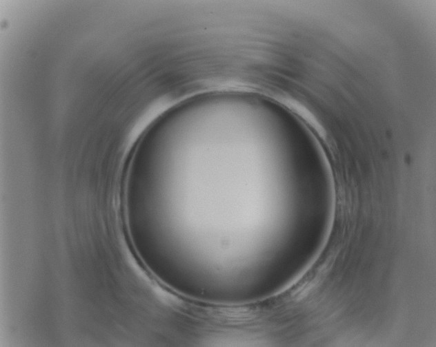 X0000074321007200609082002