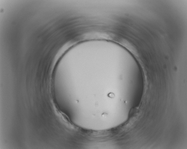 X0000074321008200609082002