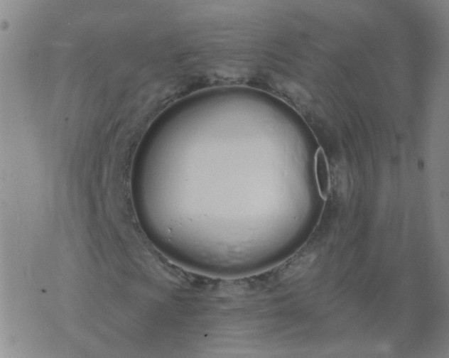 X0000074321009200609082001