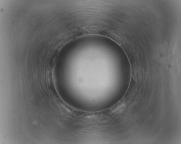 X0000074321010200609082001