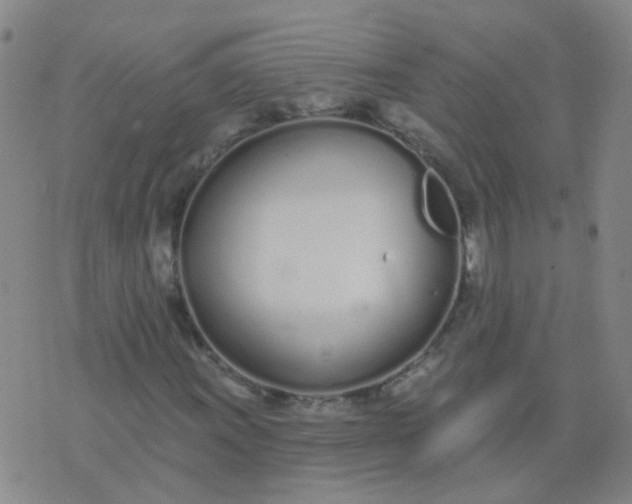 X0000074321011200609082001