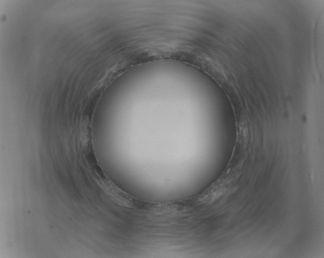 X0000074321012200609082001