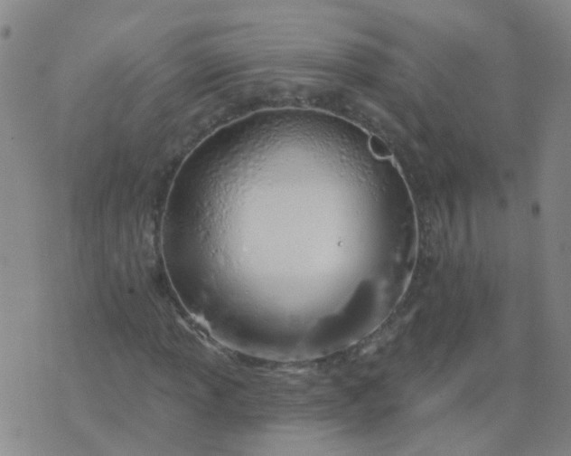 X0000074321013200609082001