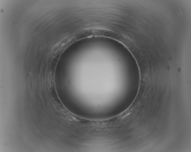 X0000074321014200609082001