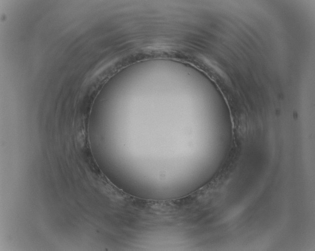 X0000074321015200609082001