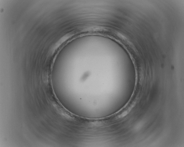 X0000074321017200609082002