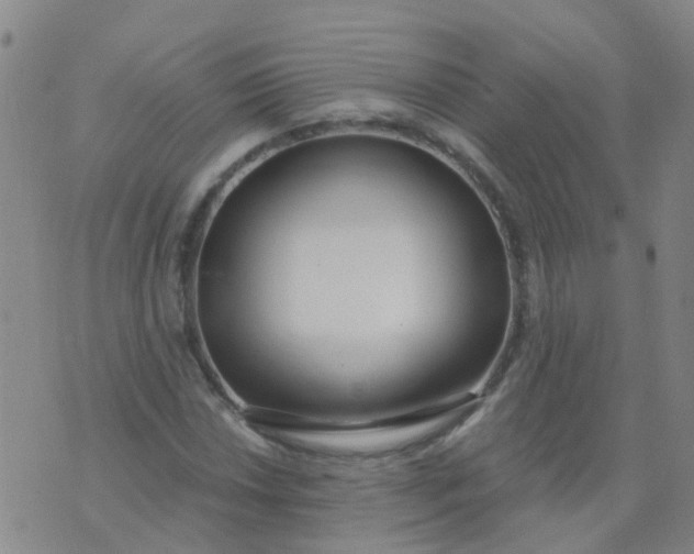 X0000074321018200609082002