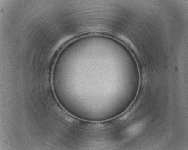 X0000074321019200609082002