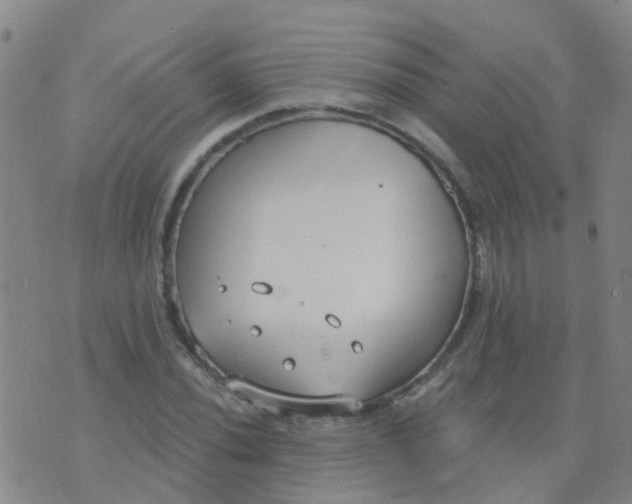 X0000074321020200609082002