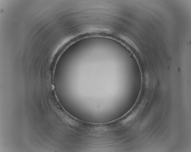 X0000074321021200609082002