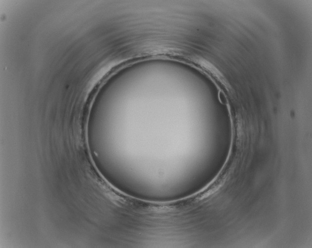 X0000074321023200609082002